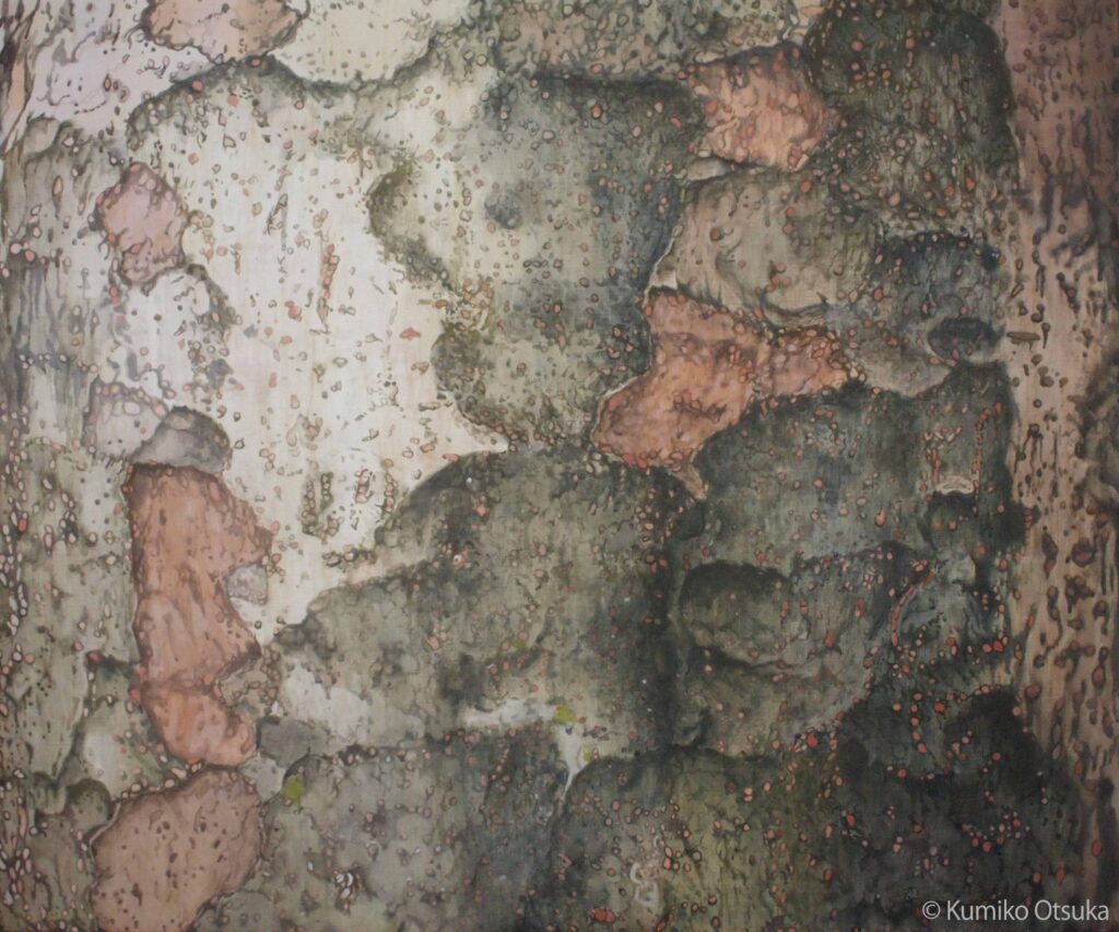 kumiko otuka Bark – オオツカクミコ-Kumiko Otsuka-Painter